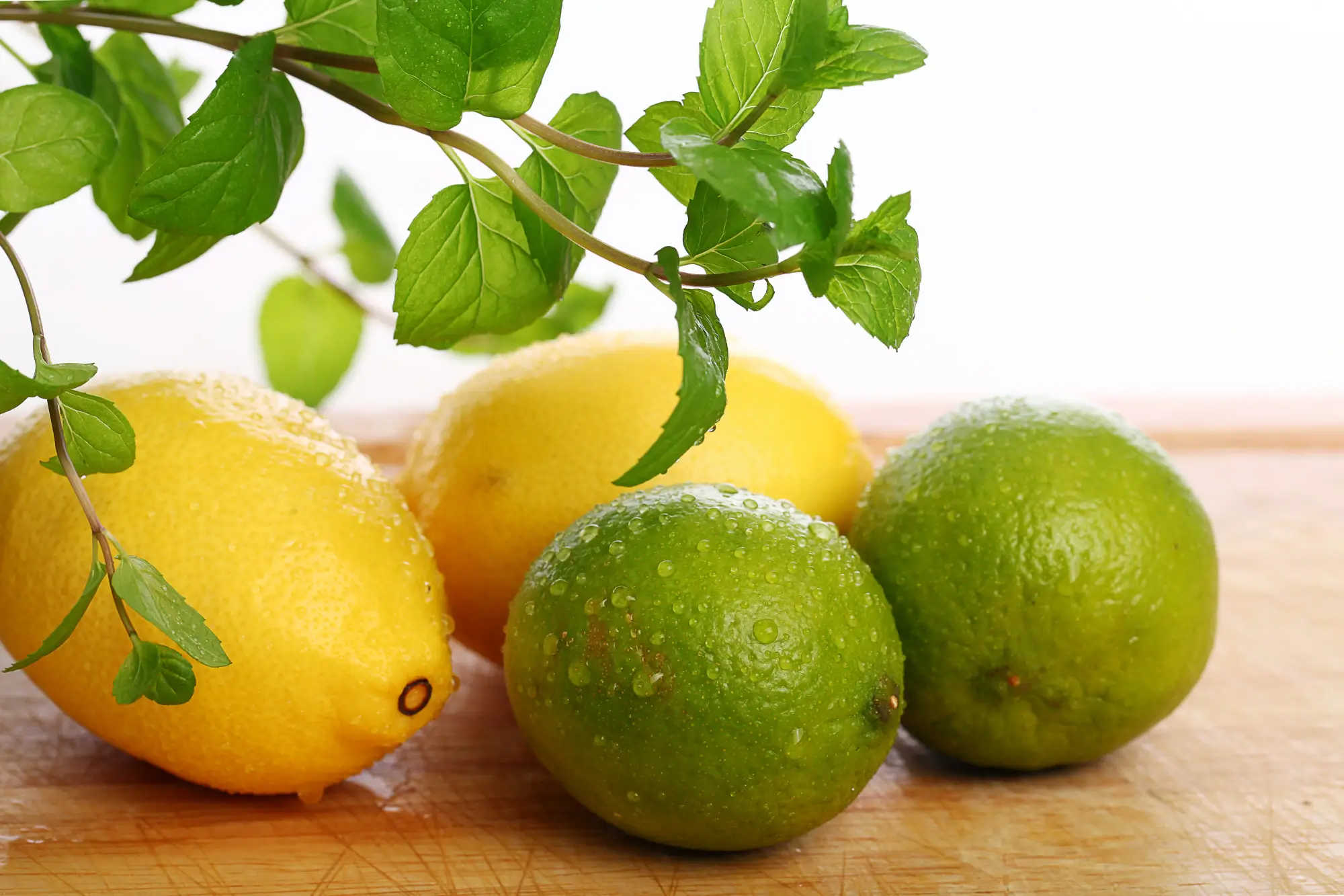 fertilize a lemon tree