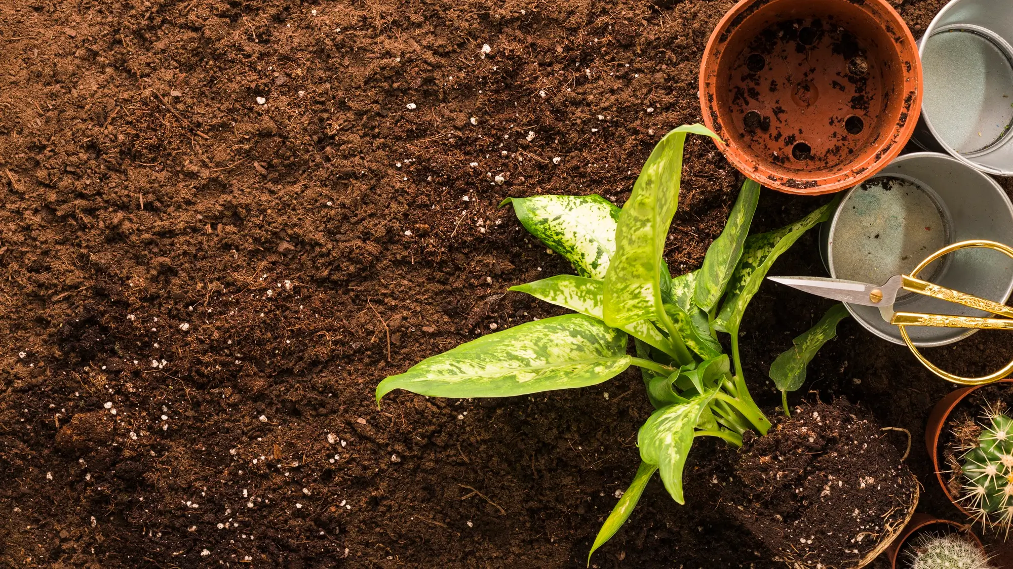 Exploring Low Nitrogen Fertilizer Benefits Uses and Best Practices YARA FERT