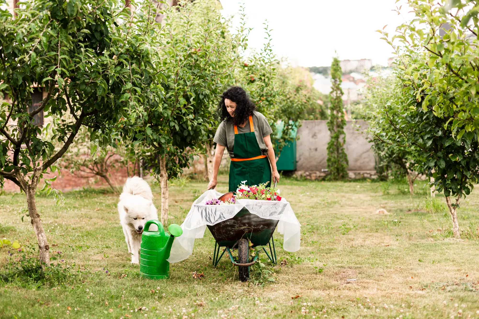 garden bed soil