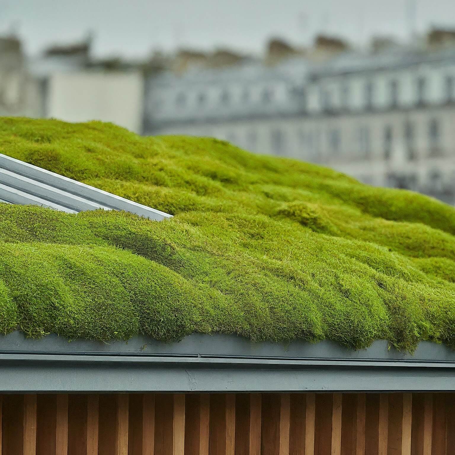 best soil for green roof