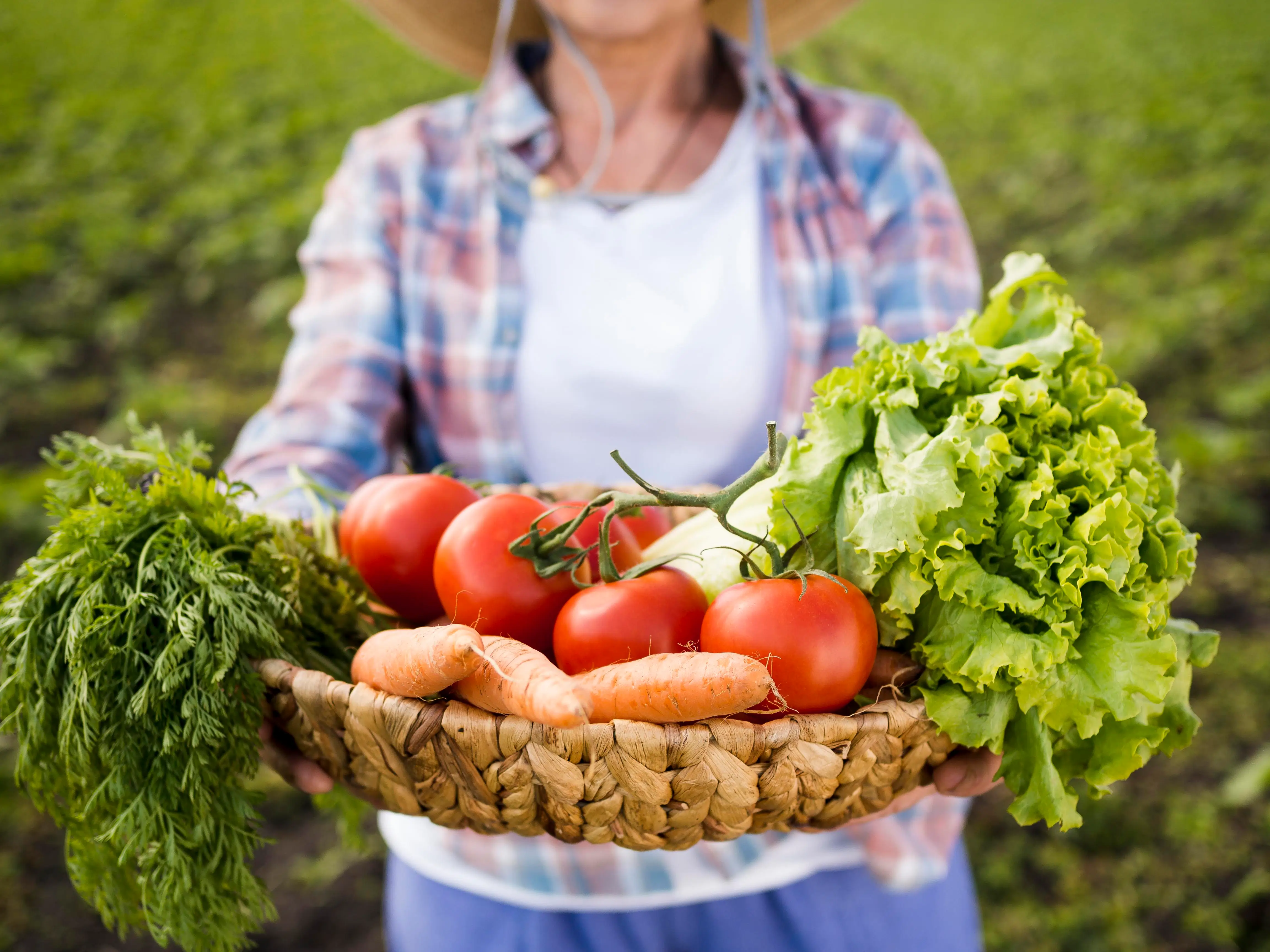 Yara Effective fertilizers