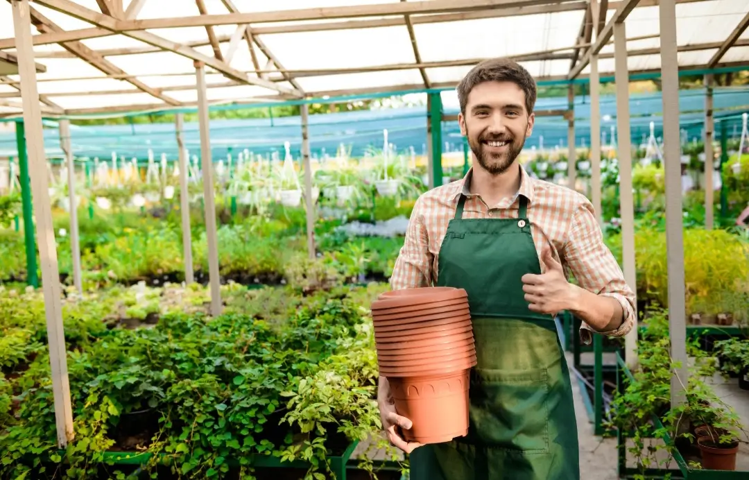 succulent potting soil