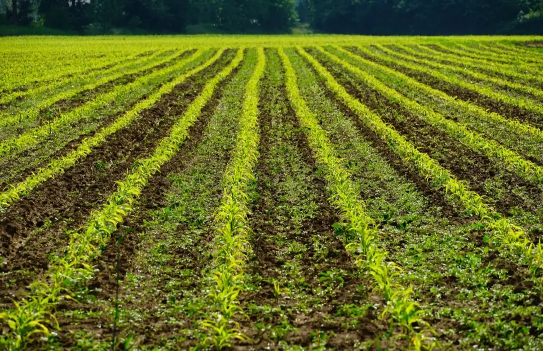 textural triangle soil