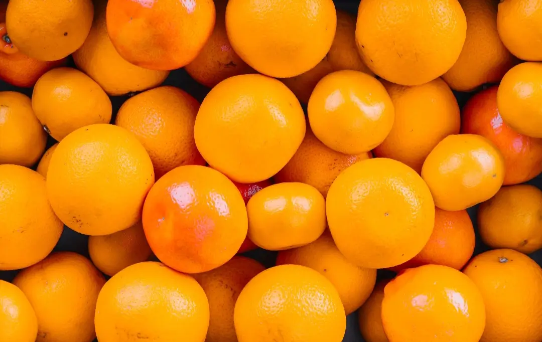 citrus soil