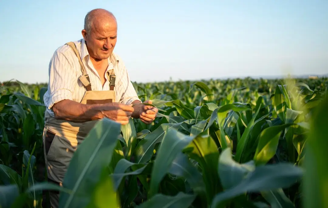 Yara High Yield Support