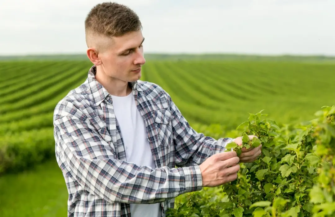 soil moisture detector
