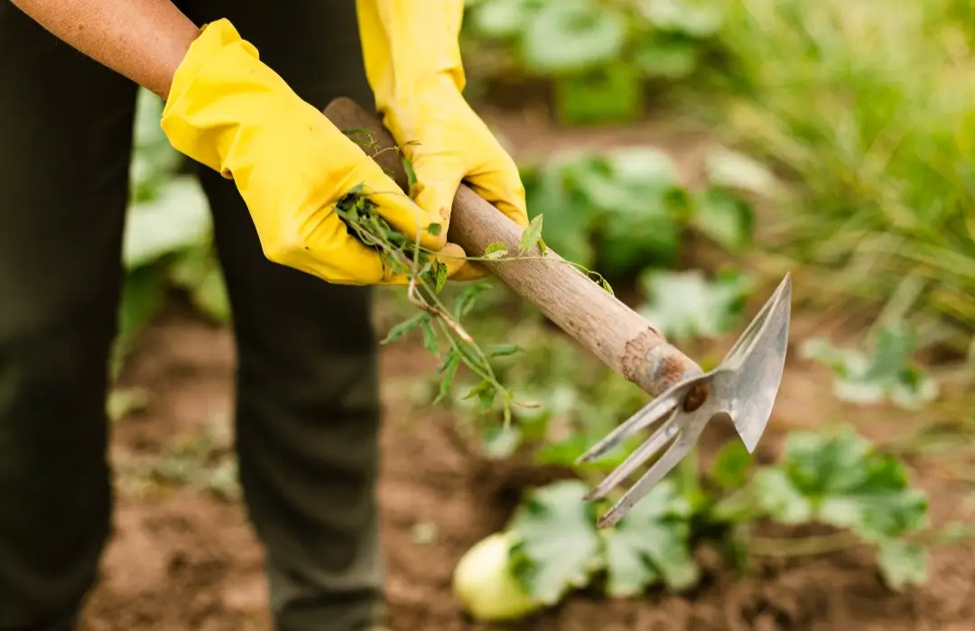 prevent soil erosion