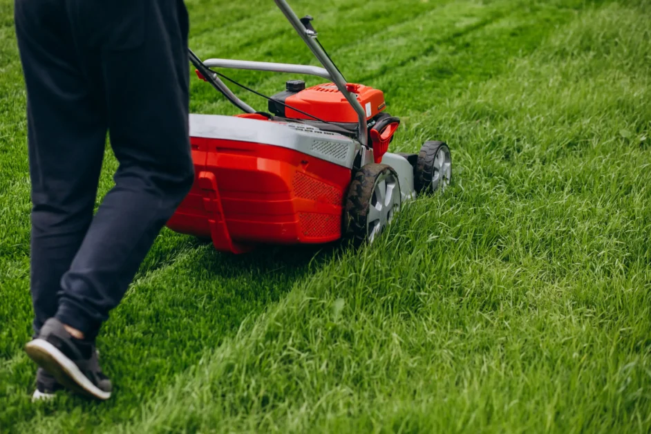 Best lawn fertilizer 2025