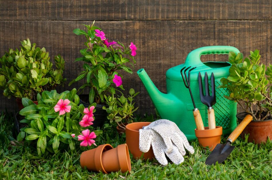 Best Slow Release Fertilizers for Home Gardens